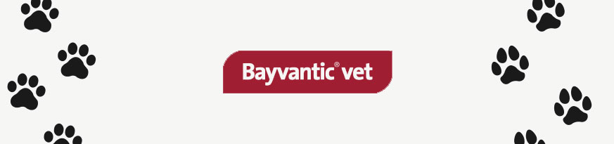 Bayvantic Banner - Logo