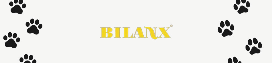 Bilanx Banner - Logo