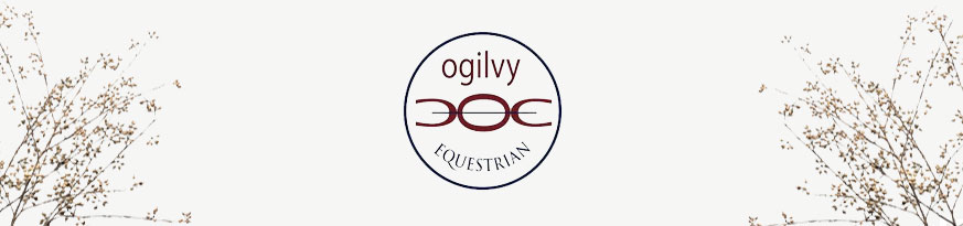 Ogilvy Equestrian Banner - Logo