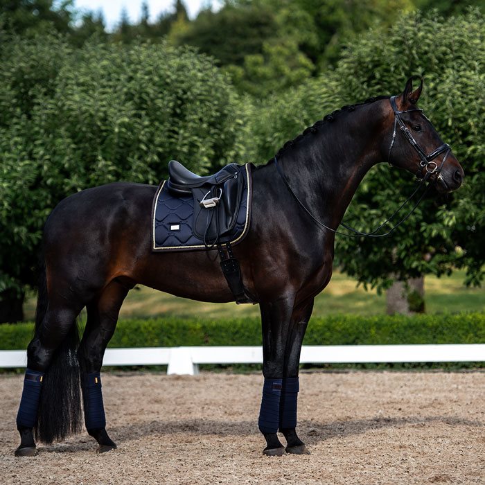 Equestrian Stockholm underlag Royal Classic