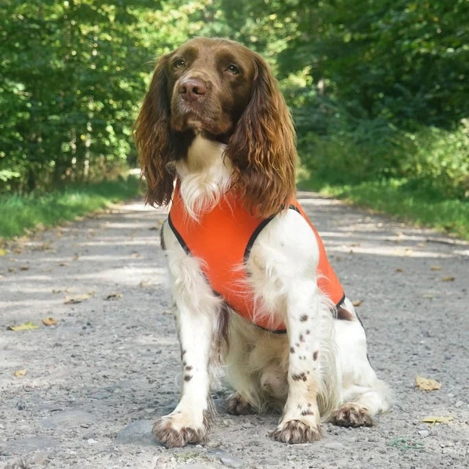 Siccaro Pro-tect dog vest orange - model forfra