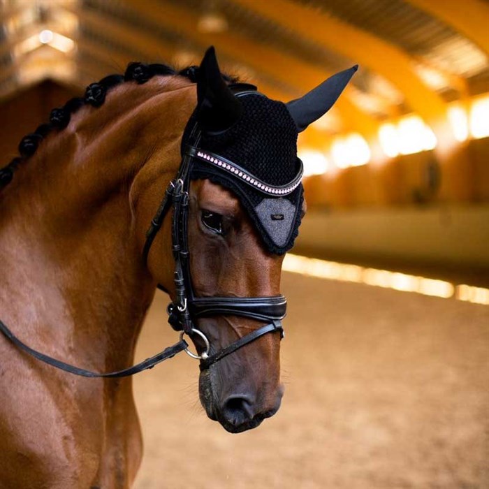 Hest rider i ridehus med All Black Glimmer i sort fra Equestrian Stockholm