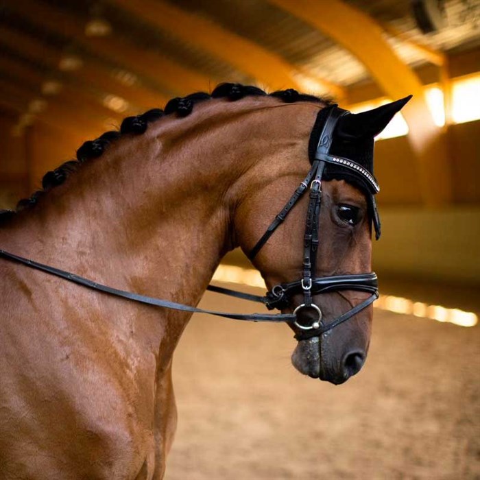 Hest fra siden med All Black glitter fra Equestrian Stockholm