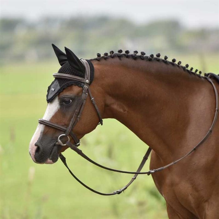 Hest står udenfor med Equestrian Stockholm hut sort glitter