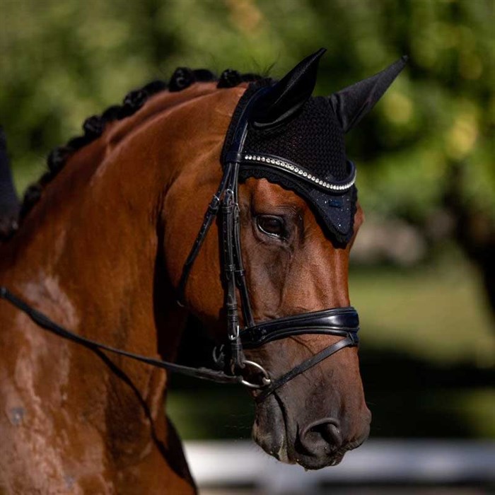 Tæt på hest med All black Glitter fra Equestrian Stockholm