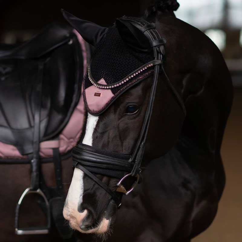 Tæt på hest med Equestrian Stockholm hut Anemone