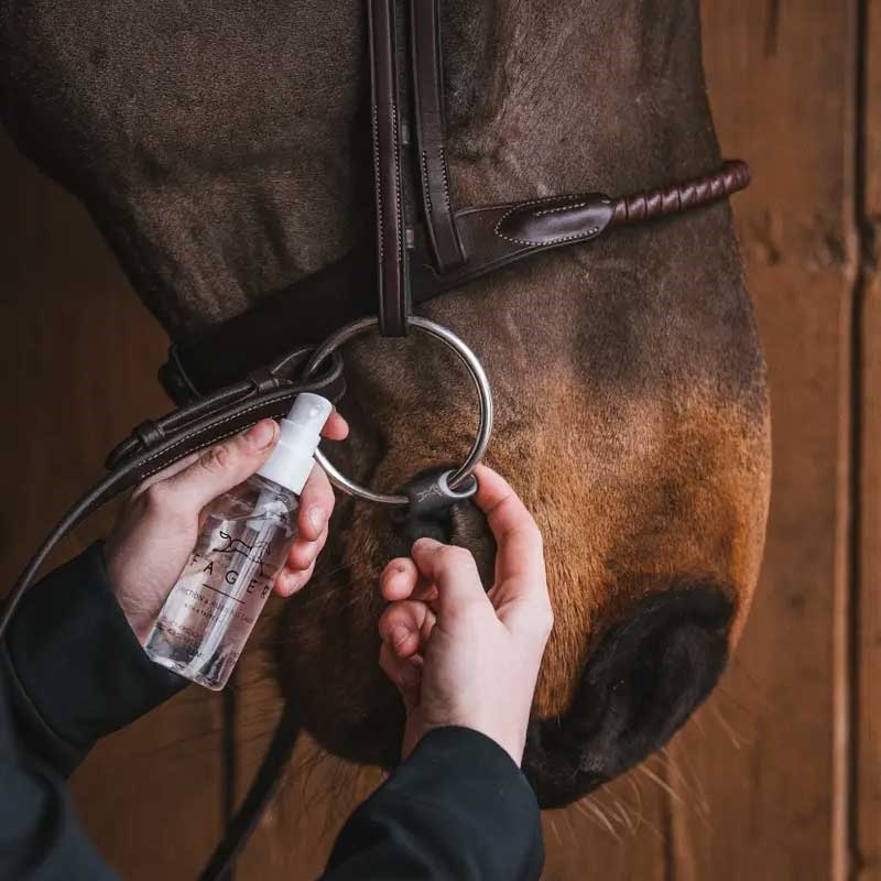 Fager Friction and Rubbing gel - her smøres den på hestens mundvige