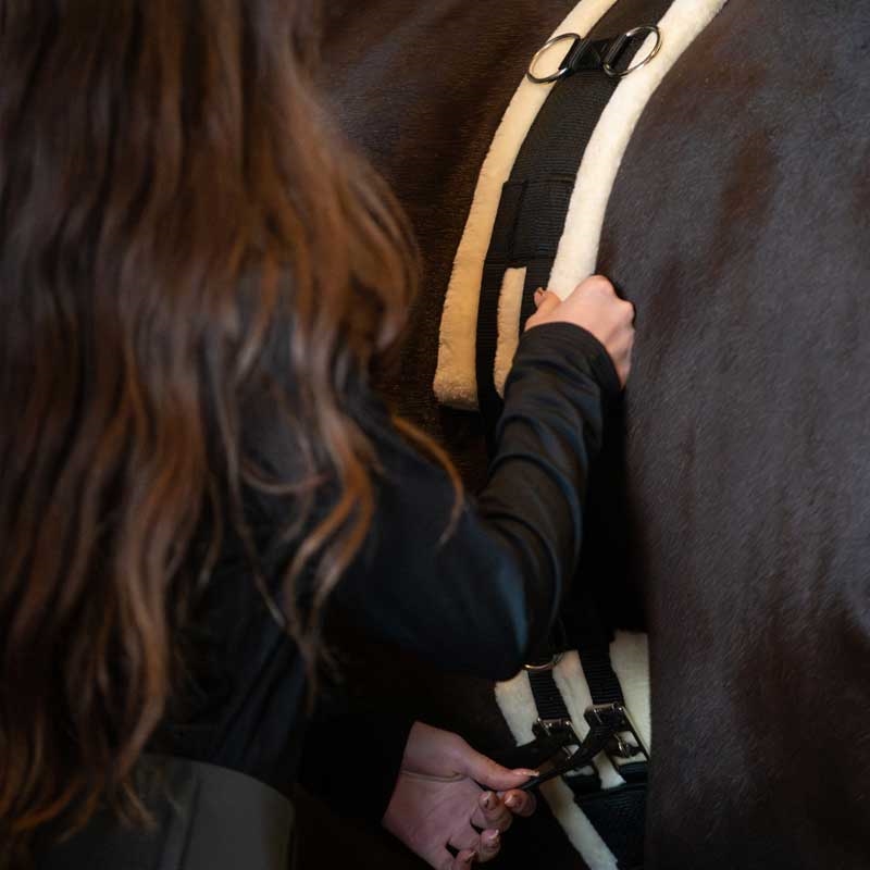 Tæt på HorseGuard longegjord med plys