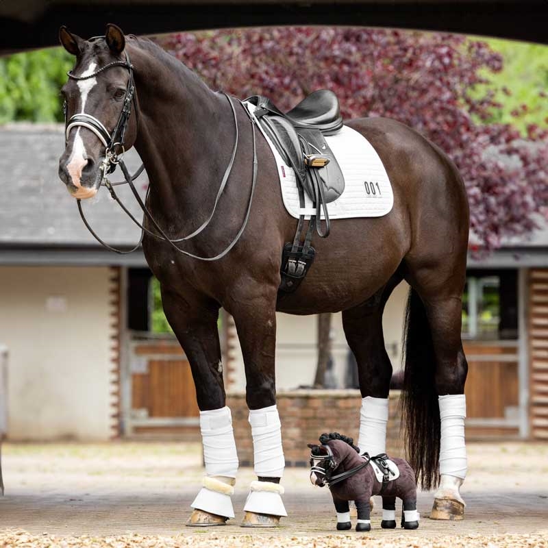 LeMieux "Mini Pony" - Valegro