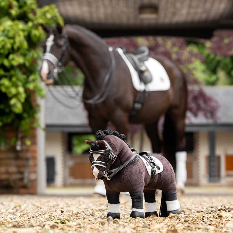 LeMieux "Mini Pony" - Valegro