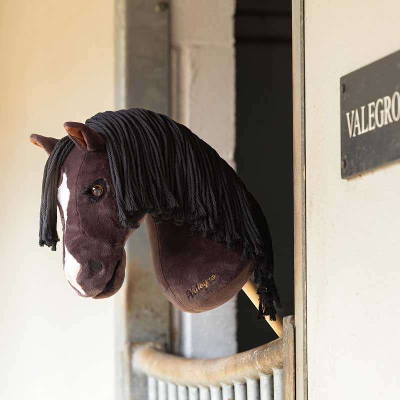 LeMieux "Hobby Horse" kæphest - Valegro 